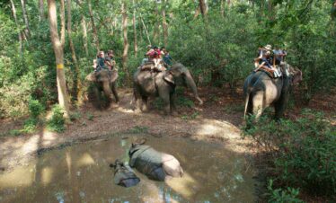 JANXII TOURS & TRAVELS | CABS SERVICES | TOURS PACKAGES FOR VARANASI, PRAYAGRAJ, AYODHYA | BOAT RIDE | TOUR GUIDE |