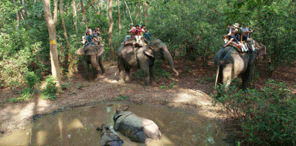 JANXII TOURS & TRAVELS | CABS SERVICES | TOURS PACKAGES FOR VARANASI, PRAYAGRAJ, AYODHYA | BOAT RIDE | TOUR GUIDE |